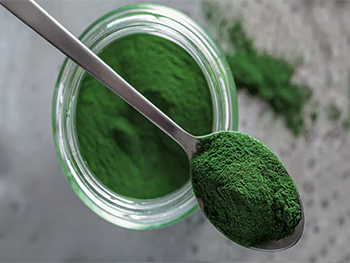 What Is Organic Chlorella Powder's Nutritional Profile?